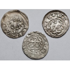 Ladislaus II Jagiello, Cracow half-penny - set (3pcs)