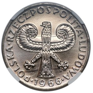 10 oro 1966 Colonna piccola
