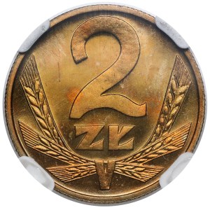 2 gold 1980 - LUSTRAINED