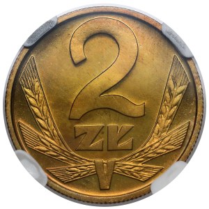 2 gold 1982 - LUSTRABLE