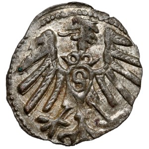 Prussia, Albrecht Hohenzollern, Königsberg denarius no date