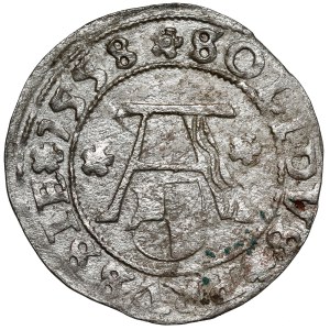 Preußen, Albrecht Hohenzollern, Königsberg 1558