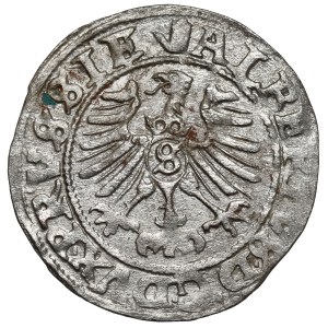 Preußen, Albrecht Hohenzollern, Königsberg 1558
