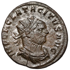 Tacyt (275-276 n.e.) Antoninian, Siscia