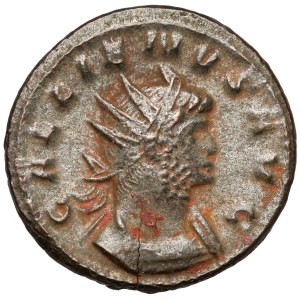 Galien (258-268 n.e.) Antoninian, Antiochia