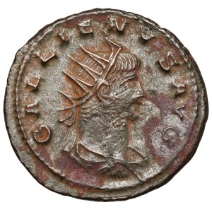 Galien (258-268 n.e.) Antoninian, Antiochia