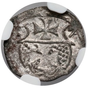 Sigismund II Augustus, Denar Elbląg 1557