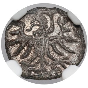 Sigismund II Augustus, Denar Elbląg 1557