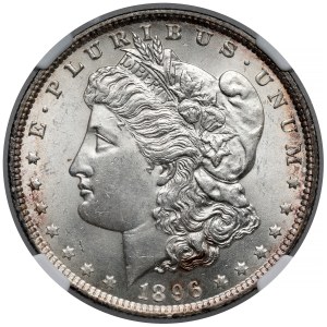 USA, Dollar 1896, Philadelphia - Morgan Dollar
