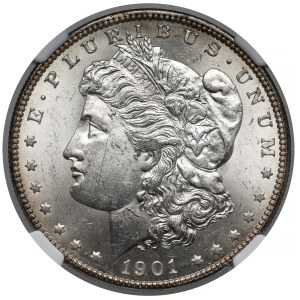 USA, Dollar 1901-O, New Orleans - Morgan Dollar