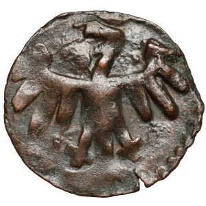 Casimir IV Jagiellonian, Denar of Cracow - O