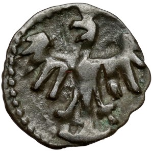 Casimir IV Jagiellonian, Denar of Cracow - O