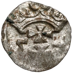 Sigismund II Augustus, Denar Danzig 1554