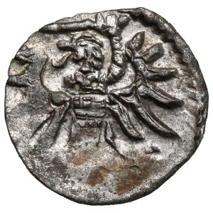 Sigismund II Augustus, Denar Danzig 1554