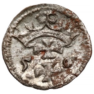 Sigismund II Augustus, Denar Gdansk 1556