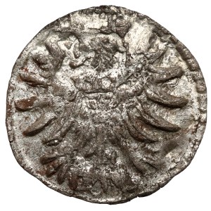 Sigismund II Augustus, Denar Gdansk 1556