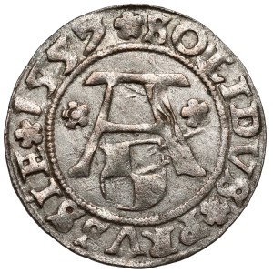Prussia, Albrecht Hohenzollern, Königsberg 1557