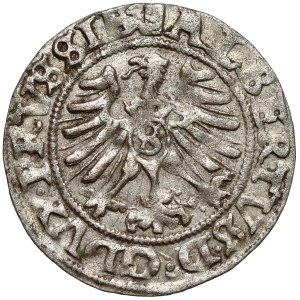 Prussia, Albrecht Hohenzollern, Königsberg 1557
