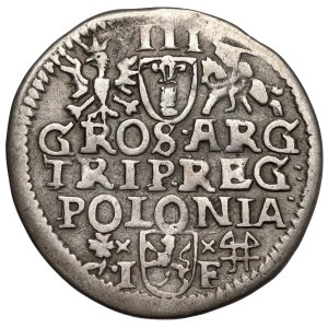Sigismund III Vasa, Trojak Wschowa 1595