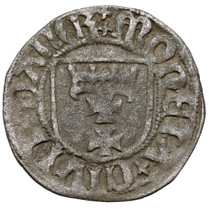 Casimir IV Jagiellonian, the Gdansk Shelleguard - lily