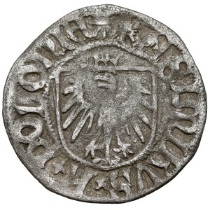Casimir IV Jagiellonian, the Gdansk Shelleguard - lily