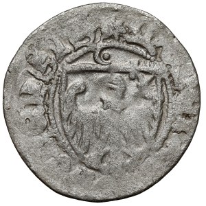 Casimir IV Jagiellonian, the Shellegrove of Torun - HALF-ROUND - rare