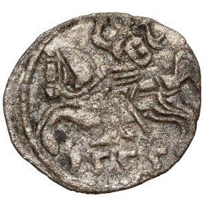 Sigismund II Augustus, Vilnius Denarius 1555