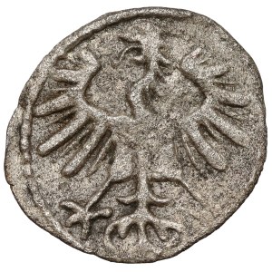 Sigismund II Augustus, Vilnius Denarius 1555
