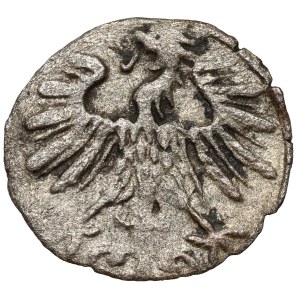 Sigismund II Augustus, Vilnius Denarius 1556
