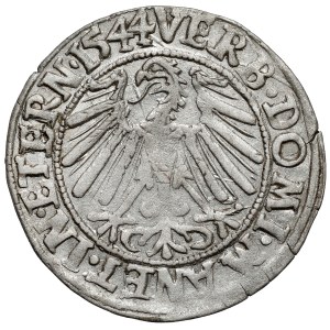 Silesia, Frederick II, 1544 penny, Legnica