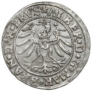 Prusko, Albrecht Hohenzollern, Grosz Königsberg 1531