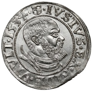 Prussia, Albrecht Hohenzollern, Königsberg penny 1534 - beautiful