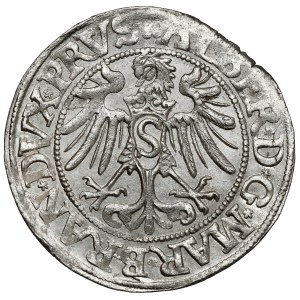 Prussia, Albrecht Hohenzollern, Königsberg penny 1534 - beautiful