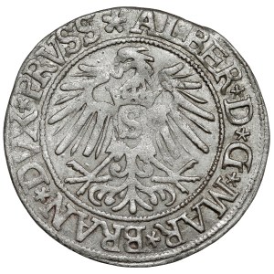 Prusko, Albrecht Hohenzollern, Grosz Königsberg 1537