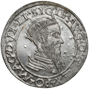 Zygmunt II August, Czworak Wilno 1565 - piękny
