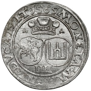 Zygmunt II August, Czworak Wilno 1565 - piękny