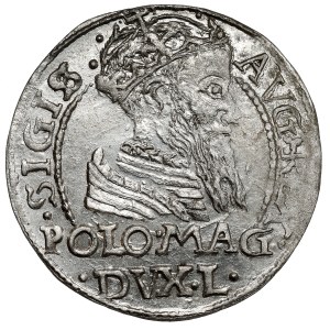 Sigismund II Augustus, Grosz per Polish foot 1566, Tykocin - beautiful