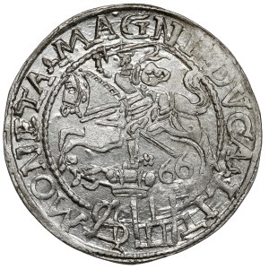 Sigismund II Augustus, Grosz per Polish foot 1566, Tykocin - beautiful