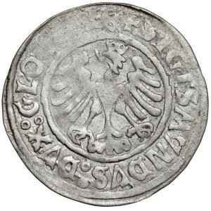 Sigismund I. der Alte, Głogów-Pfennig 1506 - datiert