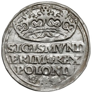 Žigmund I. Starý, Grosz Krakov 1529 - krásny
