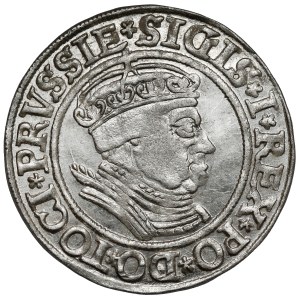 Sigismund I the Old, Torun penny 1534 - in a cap