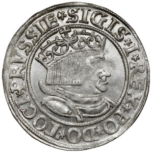 Sigismund I the Old, Torun penny 1534 - early - beautiful