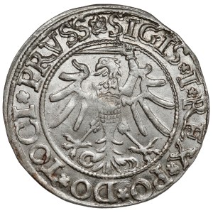 Sigismund I the Old, Penny Elblag 1535