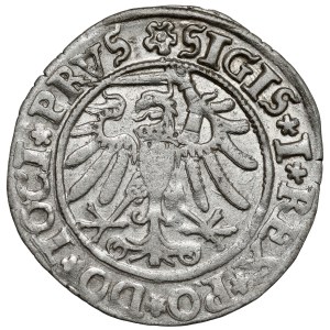 Sigismund I the Old, Penny Elblag 1534 - ELBINK