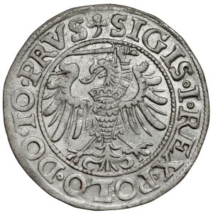 Sigismondo I il Vecchio, Penny Elbląg 1539 - sinistra