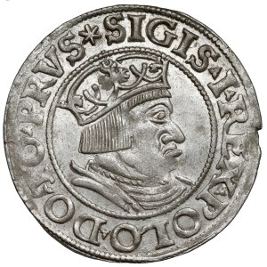 Zikmund I. Starý, gdaňský groš 1535 - pozdní - krásný