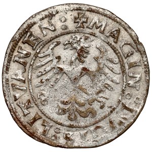 Sigismund I the Old, Vilnius 1521 half-penny - period forgery - AWESOME
