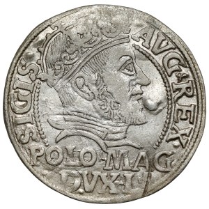 Sigismund II Augustus, Grosz per Polish foot 1547, Vilnius