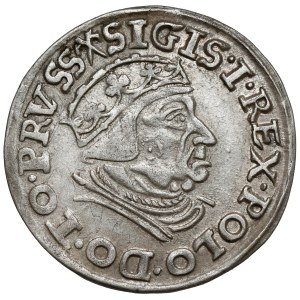 Sigismund I the Old, Trojak Gdansk 1539