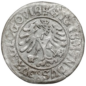 Sigismond Ier le Vieux, Grosz Głogów SANS DATE